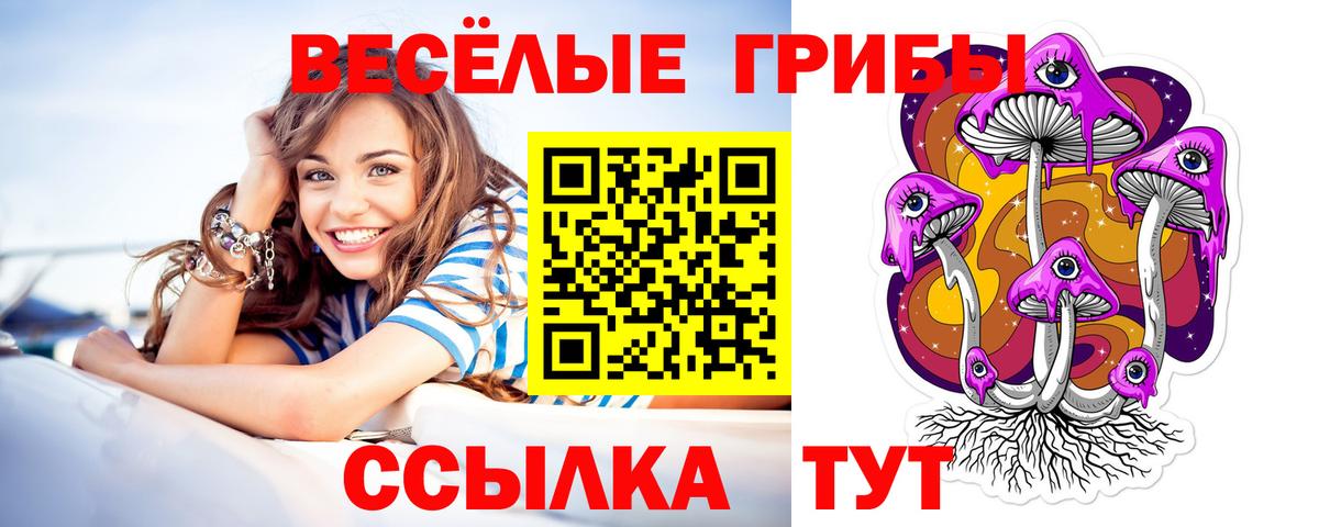 Псилоцибиновые грибы мухоморы Свободный