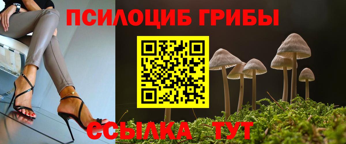 Галлюциногенные грибы мицелий  Вход с VPN  Свободный 